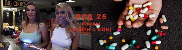 ГАЛЛЮЦИНОГЕННЫЕ ГРИБЫ Кулебаки