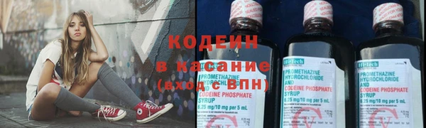 ГАЛЛЮЦИНОГЕННЫЕ ГРИБЫ Кулебаки