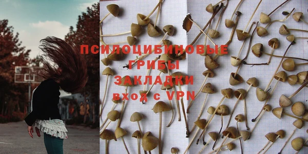 ГАЛЛЮЦИНОГЕННЫЕ ГРИБЫ Кулебаки
