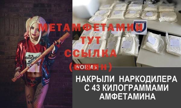 ГАЛЛЮЦИНОГЕННЫЕ ГРИБЫ Кулебаки