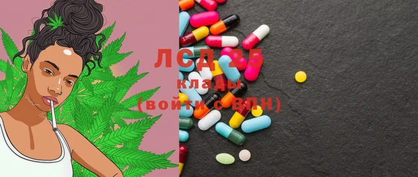 ГАЛЛЮЦИНОГЕННЫЕ ГРИБЫ Кулебаки
