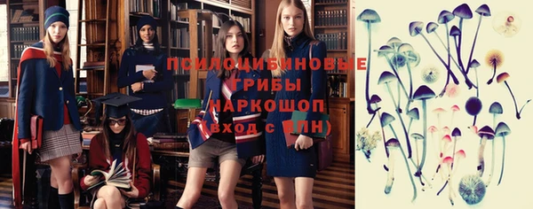 ГАЛЛЮЦИНОГЕННЫЕ ГРИБЫ Кулебаки
