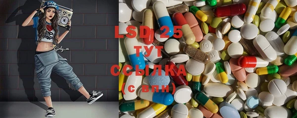 ГАЛЛЮЦИНОГЕННЫЕ ГРИБЫ Кулебаки