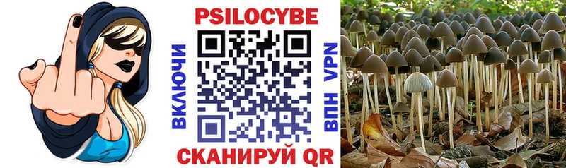 Купить  Зея  Галлюциногенные грибы мухоморы 